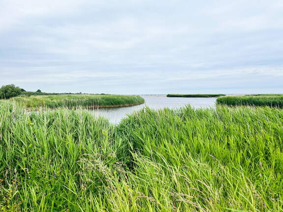 24-06-21 11-32-56 9746